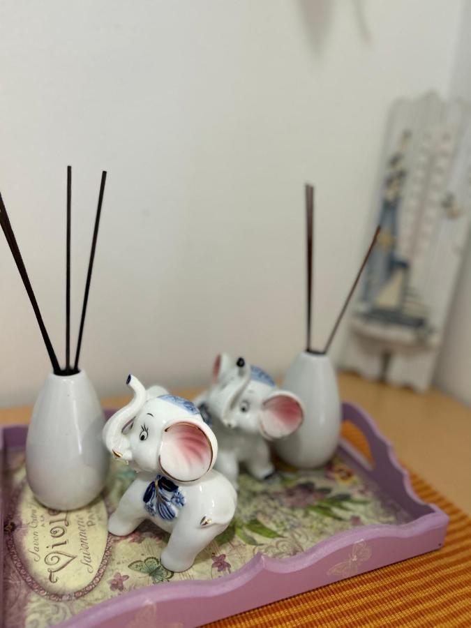 Lazarus Bigova Apartments 티바트 외부 사진